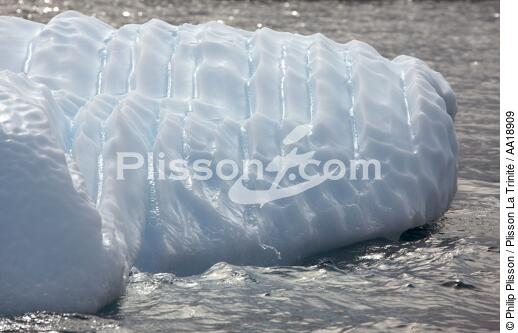 Antarctique. - © Philip Plisson / Plisson La Trinité / AA18909 - Nos reportages photos - Glace