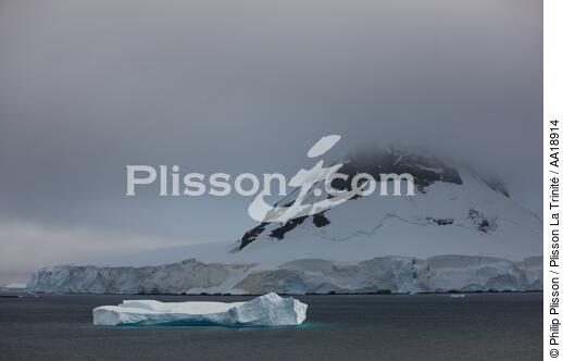 Antarctique. - © Philip Plisson / Plisson La Trinité / AA18914 - Nos reportages photos - Glace