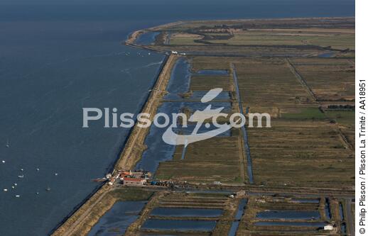 Salt marshes of Noirmoutier. - © Philip Plisson / Plisson La Trinité / AA18951 - Photo Galleries - Vendée
