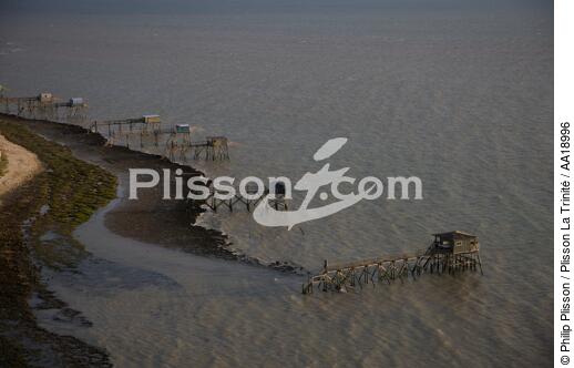 Madame island. - © Philip Plisson / Plisson La Trinité / AA18996 - Photo Galleries - Square net fishing