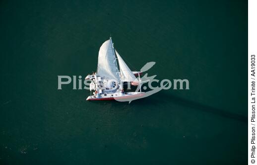 Catamaran dans le Golfe du Morbihan - © Philip Plisson / Plisson La Trinité / AA19033 - Nos reportages photos - Multicoque
