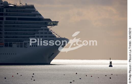 Msc Fantasia - © Philip Plisson / Plisson La Trinité / AA19210 - Photo Galleries - Atlantic Shipyards [The]