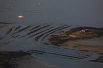 La rivière d'Etel © Philip Plisson / Plisson La Trinité / AA19229 - Nos reportages photos - L'ostréiculture
