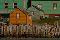 Saint-Pierre et Miquelon. © Philip Plisson / Plisson La Trinité / AA19339 - Photo Galleries - Saint-Pierre-et-Miquelon