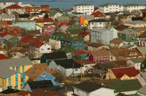 Saint-Pierre et Miquelon. © Philip Plisson / Plisson La Trinité / AA19343 - Photo Galleries - Saint-Pierre-et-Miquelon