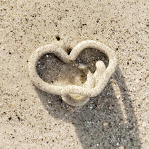 Sur le sable. © Philip Plisson / Plisson La Trinité / AA19361 - Nos reportages photos - Format carré