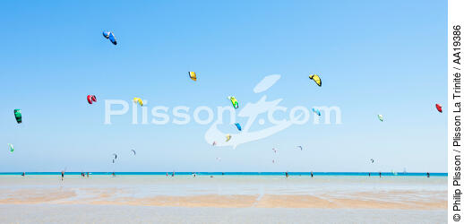 Kite surfing on the beach of El Gouna. - © Philip Plisson / Plisson La Trinité / AA19386 - Photo Galleries - Red Sea