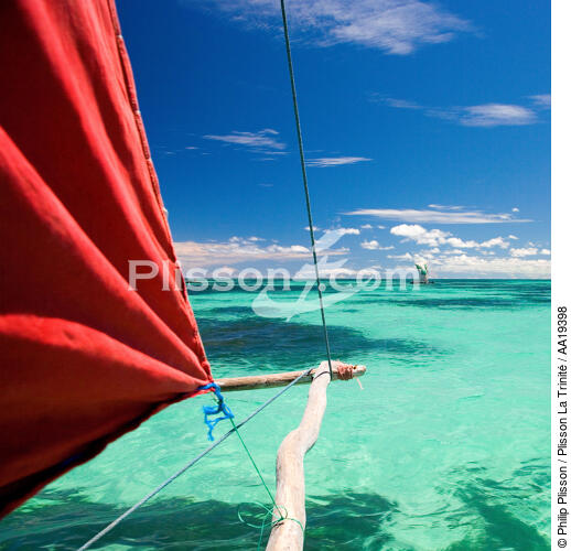 Malagasy sails - © Philip Plisson / Plisson La Trinité / AA19398 - Photo Galleries - Rowing boat