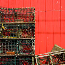 Lobsters, Port Clyde © Philip Plisson / Plisson La Trinité / AA19407 - Photo Galleries - United States [The]