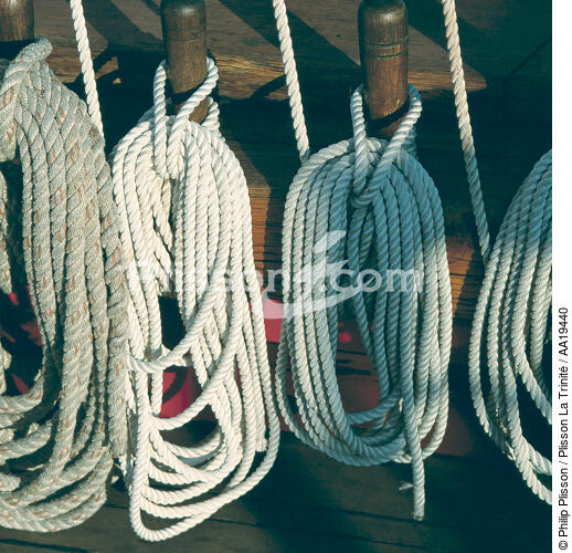 Rigging. - © Philip Plisson / Plisson La Trinité / AA19440 - Photo Galleries - Sea decoration