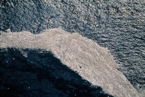 Saint-Kilda et ses pétrels fulmars © Philip Plisson / Plisson La Trinité / AA19523 - Nos reportages photos - Oiseau marin