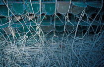 Filets de pêche en Ecosse © Philip Plisson / Plisson La Trinité / AA19533 - Nos reportages photos - Ecosse