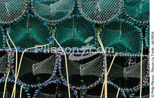 Nets fishing in Scotland - © Philip Plisson / Plisson La Trinité / AA19534 - Photo Galleries - Fishing nets