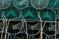 Nets fishing in Scotland © Philip Plisson / Plisson La Trinité / AA19534 - Photo Galleries - Fishing nets