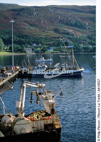 Ullapool, port de pêche abrité dans le Loch Broom - © Philip Plisson / Plisson La Trinité / AA19537 - Nos reportages photos - Site [Eco]