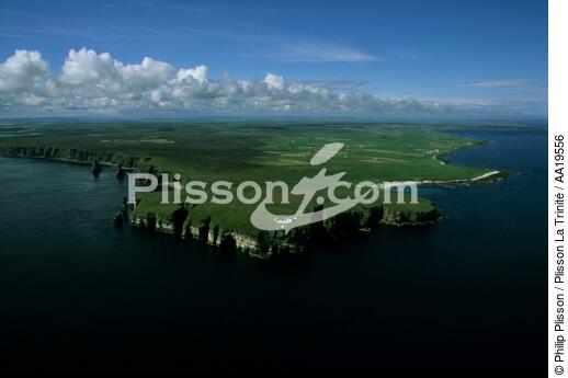 Duncansby Head, région propice à la culture céréalière - © Philip Plisson / Plisson La Trinité / AA19556 - Nos reportages photos - Duncansby Head