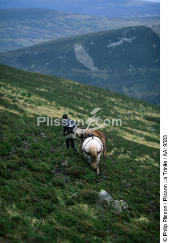 La chasse traditionnelle aux cerfs dans les Highlands - © Philip Plisson / Plisson La Trinité / AA19583 - Nos reportages photos - Sport et loisir