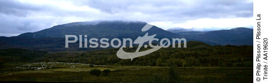 Les moutons dans les Highlands - © Philip Plisson / Plisson La Trinité / AA19620 - Nos reportages photos - Montagne