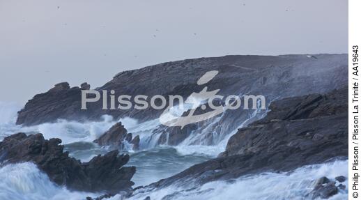 La côte sauvages de Quiberon - © Philip Plisson / Plisson La Trinité / AA19643 - Photo Galleries - Storm at sea