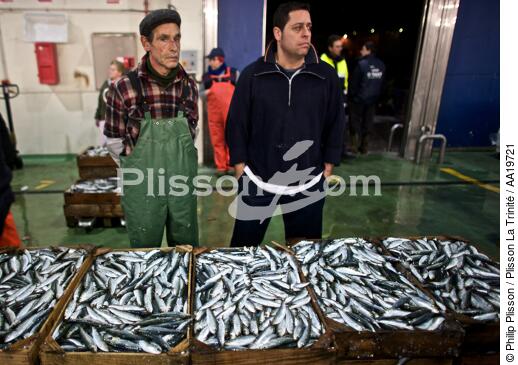 Vigo Fish Dock - © Philip Plisson / Plisson La Trinité / AA19721 - Photo Galleries - portrait