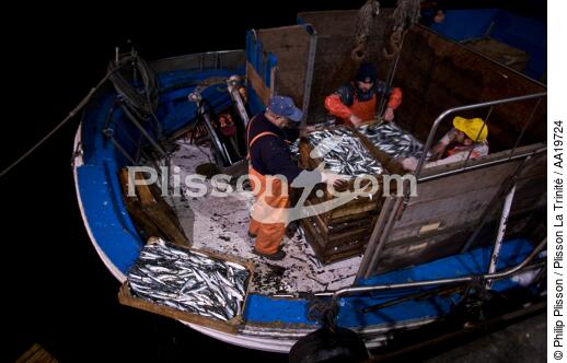 Criée de Vigo - © Philip Plisson / Plisson La Trinité / AA19724 - Nos reportages photos - La pêche à la sardine