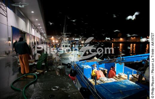 Vigo Fish Dock - © Philip Plisson / Plisson La Trinité / AA19727 - Photo Galleries - Fauna