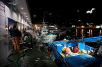 Vigo Fish Dock © Philip Plisson / Plisson La Trinité / AA19727 - Photo Galleries - Fisherman
