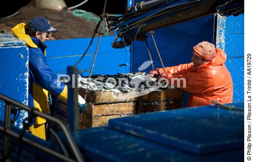 Vigo Fish Dock - © Philip Plisson / Plisson La Trinité / AA19729 - Photo Galleries - Fishermen of the world