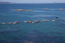 Pêche a la palourde en Galice © Philip Plisson / Plisson La Trinité / AA19740 - Nos reportages photos - Barque