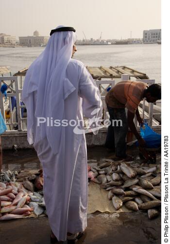 Criée de Sharjah - © Philip Plisson / Plisson La Trinité / AA19783 - Nos reportages photos - Tradition