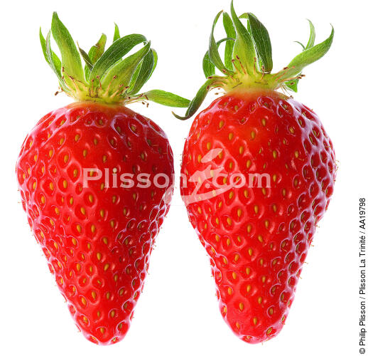Strawberries. - © Philip Plisson / Plisson La Trinité / AA19798 - Photo Galleries - Flora