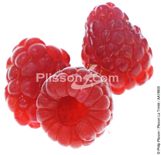 Raspberries. - © Philip Plisson / Plisson La Trinité / AA19805 - Photo Galleries - Fruit
