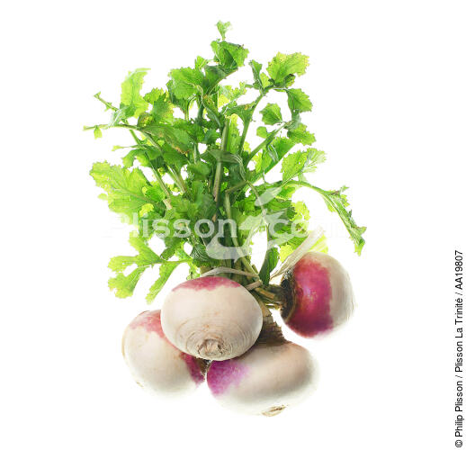 Turnips. - © Philip Plisson / Plisson La Trinité / AA19807 - Photo Galleries - Gourmet food