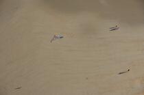 Carnac,plage de sable. © Philip Plisson / Plisson La Trinité / AA19930 - Nos reportages photos - Planche à voile