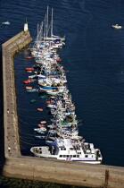 Bateaux dans le port de Houat. © Philip Plisson / Plisson La Trinité / AA20010 - Nos reportages photos - Ile [56]