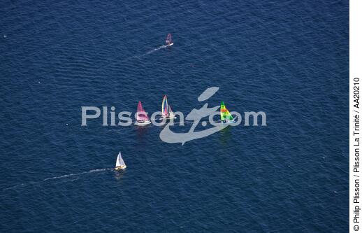 Catamarans,Saint-Gildas de Rhuys. - © Philip Plisson / Plisson La Trinité / AA20210 - Nos reportages photos - Multicoque de sport et loisirs