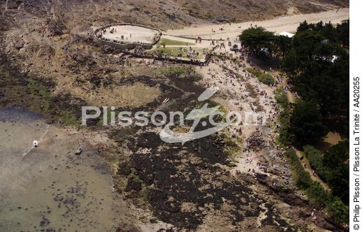 Locmariaquer. - © Philip Plisson / Plisson La Trinité / AA20255 - Photo Galleries - Mudbank