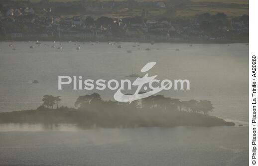 Ilôt sous la brume devant Locmariaquer. - © Philip Plisson / Plisson La Trinité / AA20260 - Nos reportages photos - Locmariaquer