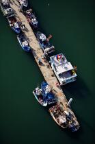 Bâteaux de pêche au ponton,Port-maria. © Philip Plisson / Plisson La Trinité / AA20332 - Nos reportages photos - Port-Maria