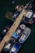Bâteaux de pêche au ponton,Port-maria. © Philip Plisson / Plisson La Trinité / AA20334 - Nos reportages photos - Quiberon