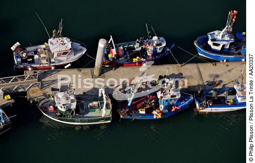 Bâteaux de pêche au ponton,Port-maria. - © Philip Plisson / Plisson La Trinité / AA20337 - Nos reportages photos - Port-Maria