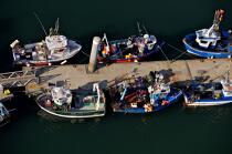 Bâteaux de pêche au ponton,Port-maria. © Philip Plisson / Plisson La Trinité / AA20337 - Nos reportages photos - Quiberon [presqu'île de]