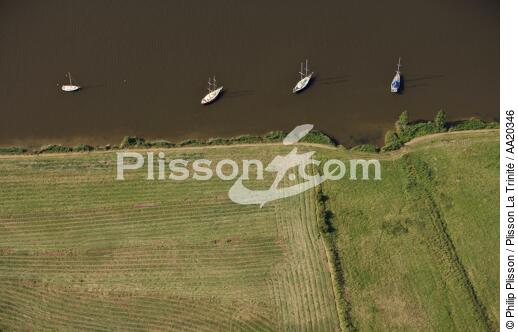 Foleux on the banks of the Vilaine. - © Philip Plisson / Plisson La Trinité / AA20346 - Photo Galleries - River [56]