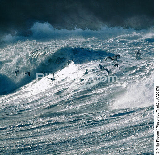 Mer agitée. - © Philip Plisson / Plisson La Trinité / AA20376 - Nos reportages photos - Rocher