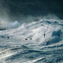 Mer agitée. © Philip Plisson / Plisson La Trinité / AA20377 - Nos reportages photos - Rocher