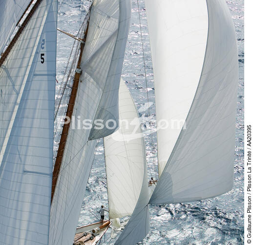 Under the wind. - © Guillaume Plisson / Plisson La Trinité / AA20395 - Photo Galleries - Sails