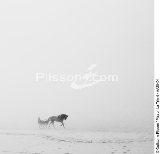 On Dossen beach in Santec. - © Guillaume Plisson / Plisson La Trinité / AA20404 - Photo Galleries - Horse