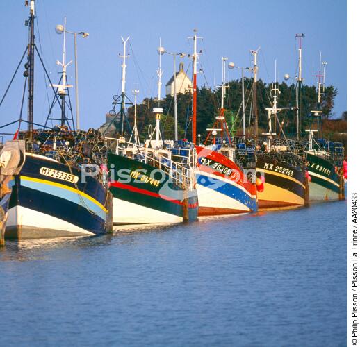 Bateaux de pêche à Roscoff. - © Philip Plisson / Plisson La Trinité / AA20433 - Nos reportages photos - Roscoff