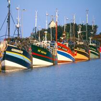 Fishing vessel in Roscoff. © Philip Plisson / Plisson La Trinité / AA20433 - Photo Galleries - Roscoff