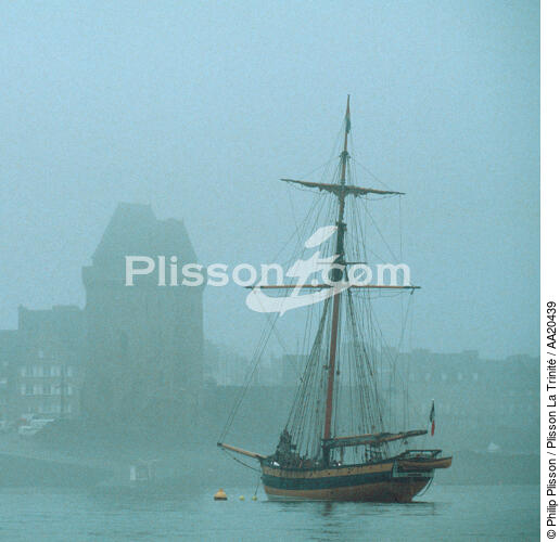 Le Renard devant la Tour Solidor à St Malo. - © Philip Plisson / Plisson La Trinité / AA20439 - Nos reportages photos - Renard [Le]